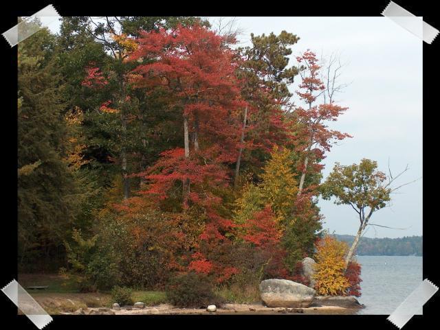 Pictures of the Week