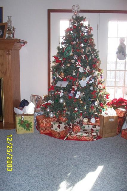 Christmas at the Sherberts