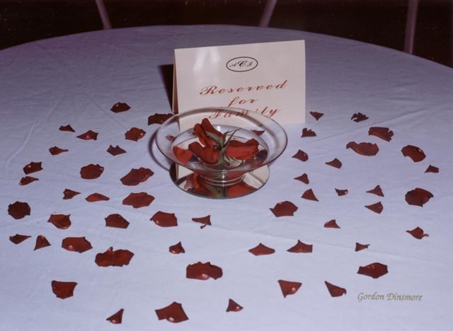 159 Rose Petals Galore