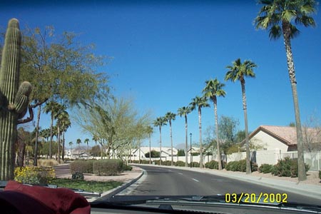 spring_break_2002_4 007