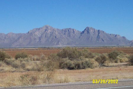 spring_break_2002_5 003