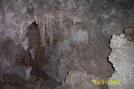 spring_break_2002_7 010