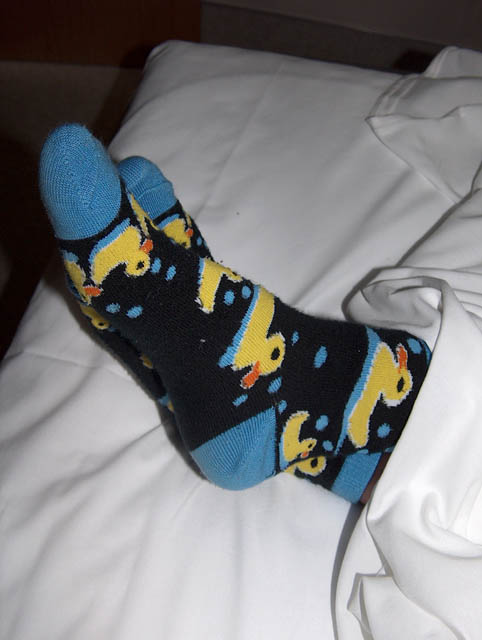 Duck socks - I really just happened to put these on that morning!