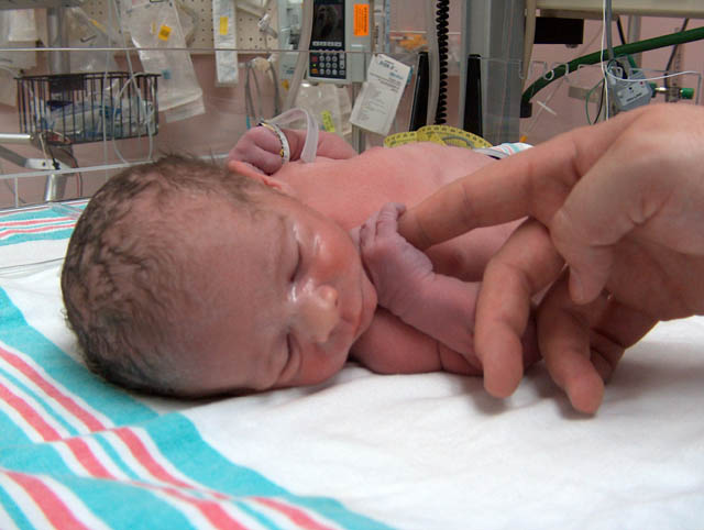 Holding Daddy's hand