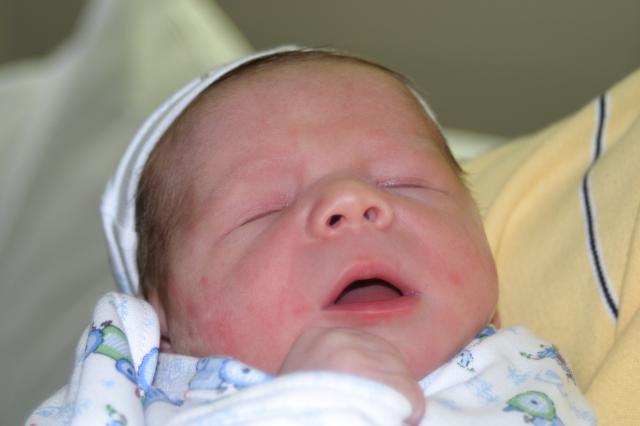 What a handsome little guy!