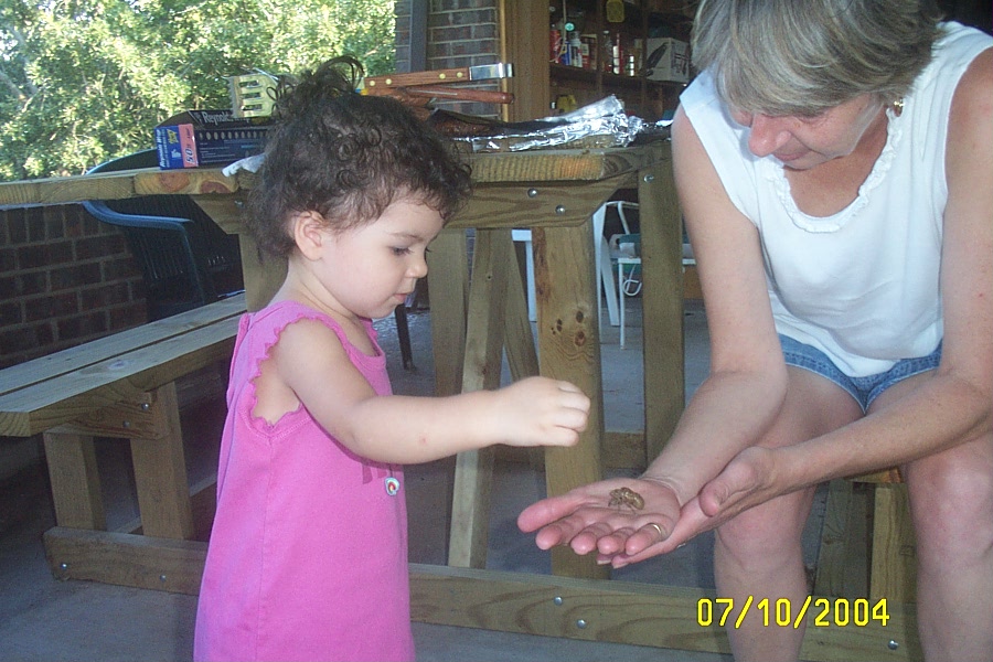 Not So Sure about the Locust