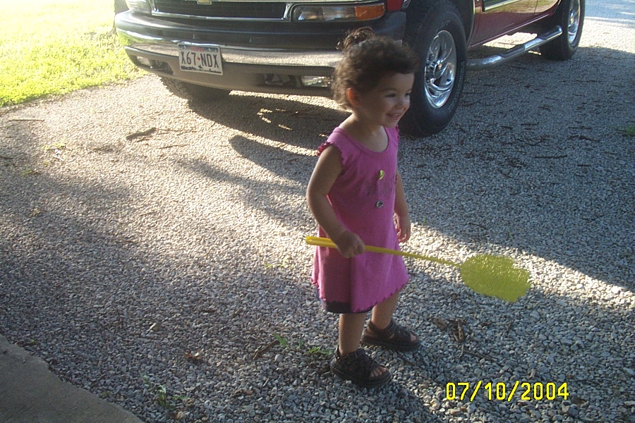 More Fun with the Flyswatter