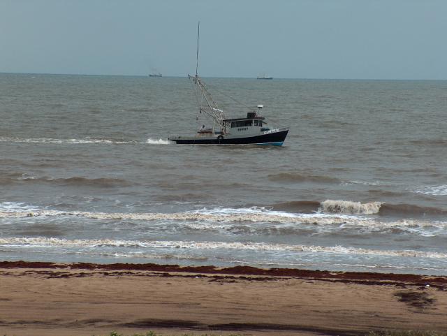 The shrimping boats were out in full force!