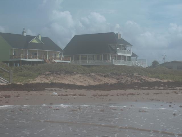 The very high tide washed the seaweed up to the dunes -- it cleared off the beach nicely!