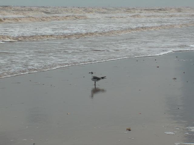 Wonder what he's thinking?