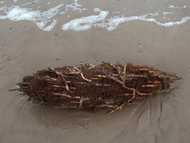 Random beach debris -- any guesses on what this was?