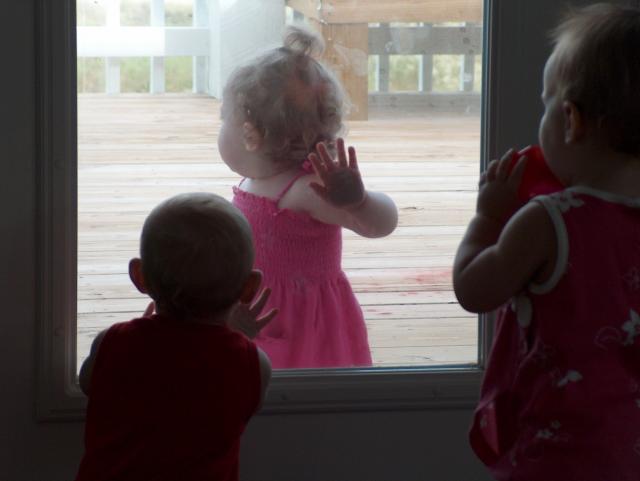 How much is that baby in the window?