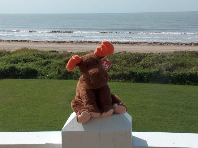 Beach Pics 2005 - July 12-26, 2005