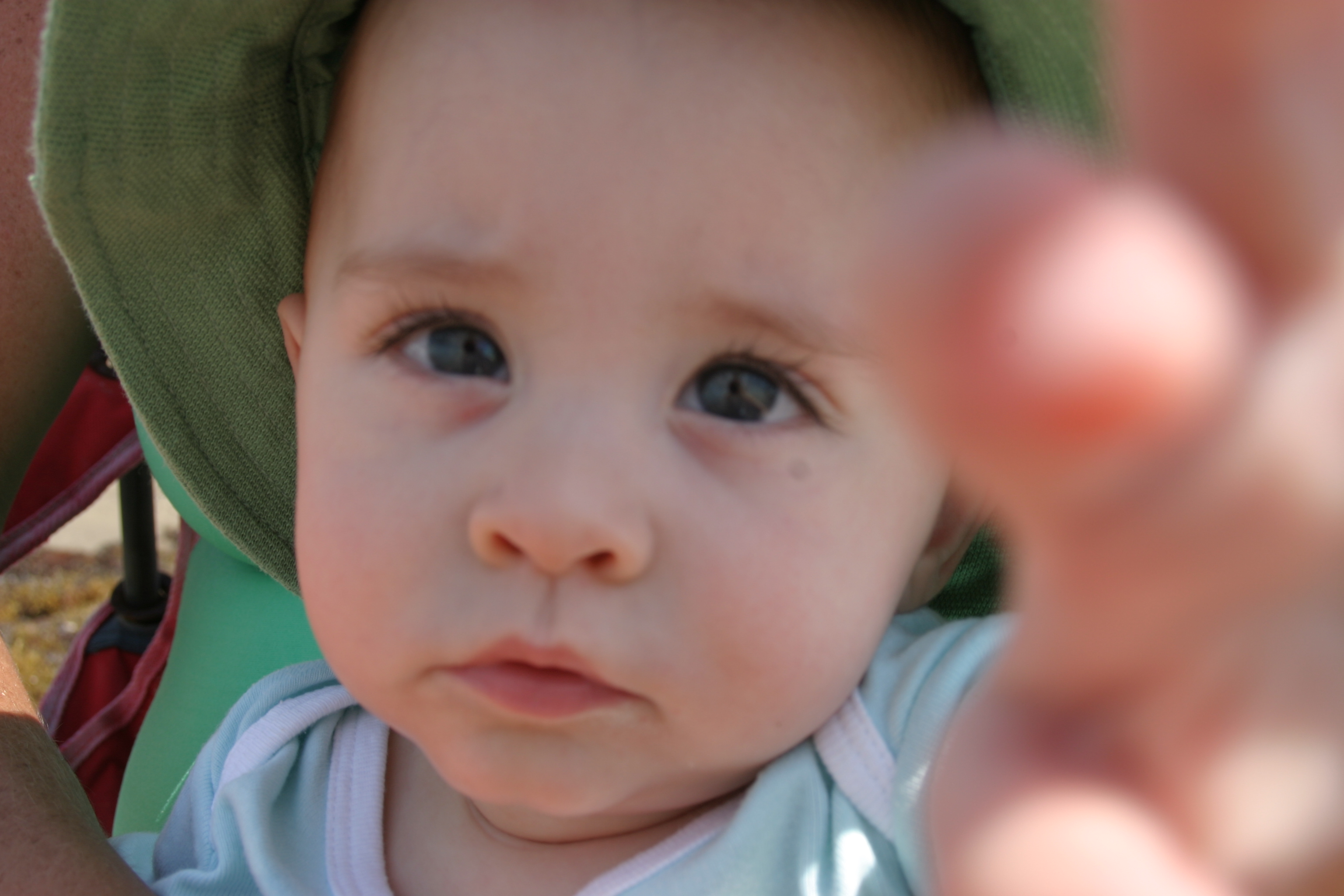 Come on, let me take some pictures!