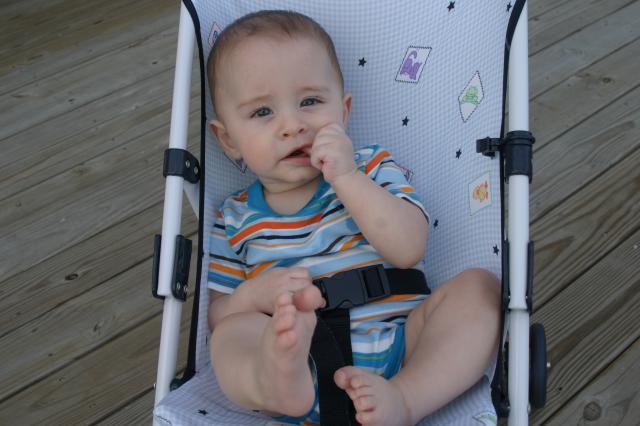 Hanging out in the stroller