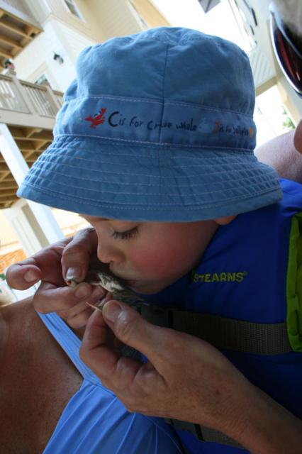 Kissing the crab goodbye