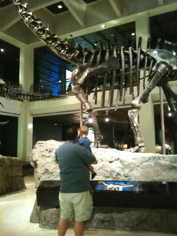 Dinosaur-at-the-museum!