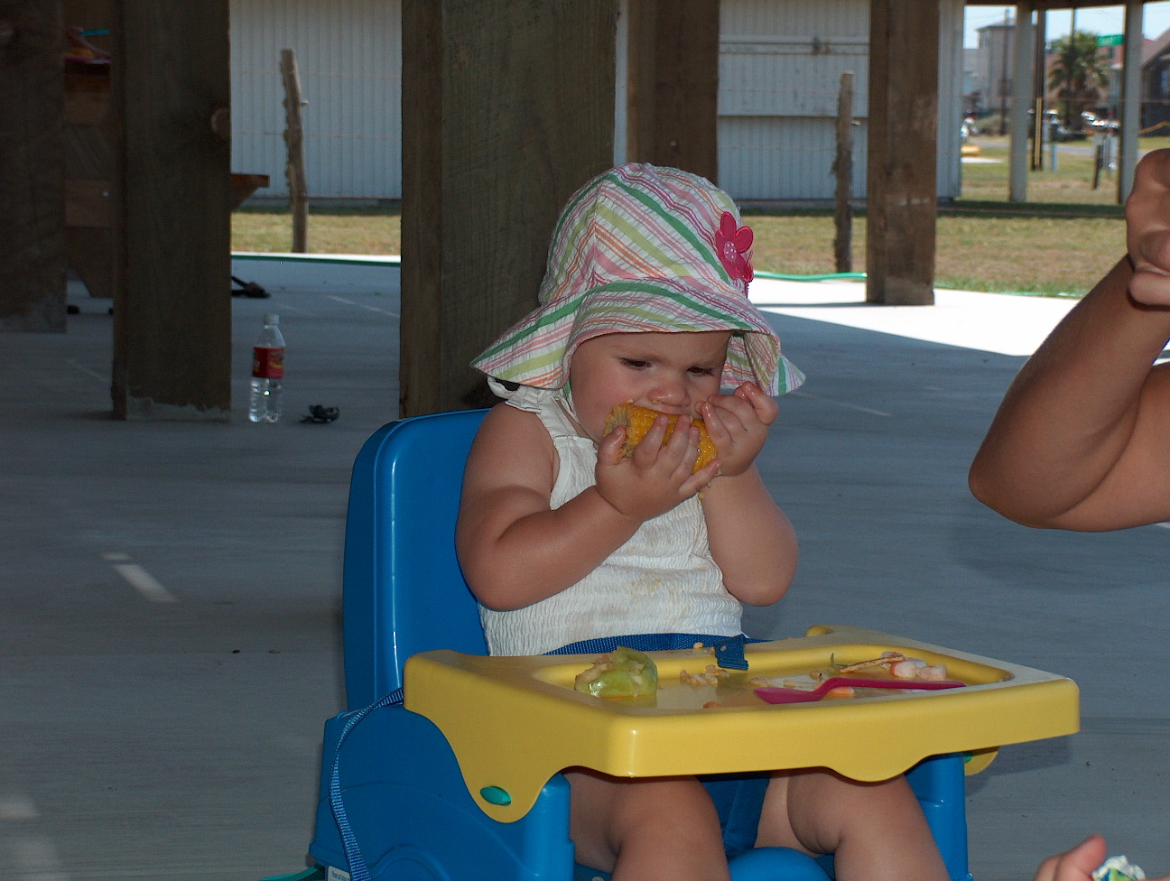 Mmmm, corn on the cob!