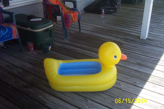 Charli's Duck Pool