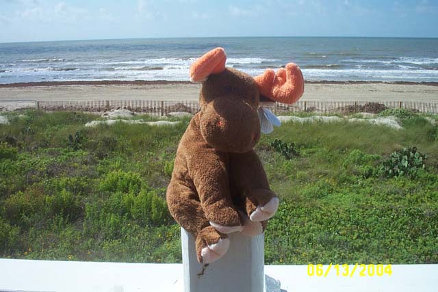 Lumpy at the Beach (This One's for Kristin!)