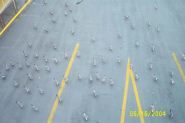 Hey, Where'd all the Cars Go?