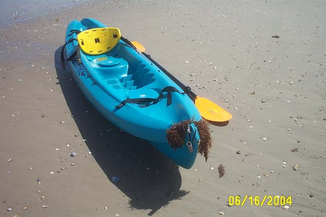 The Kayak Wanted to Pose for a Picture