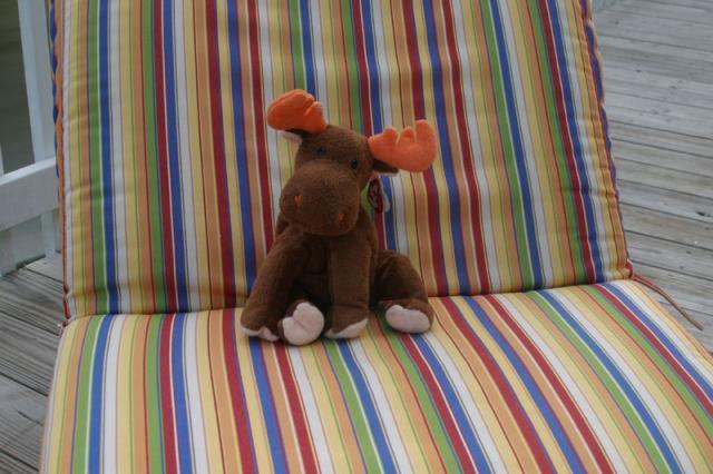 Lumpy lounging around