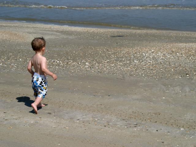 Race you to the water!