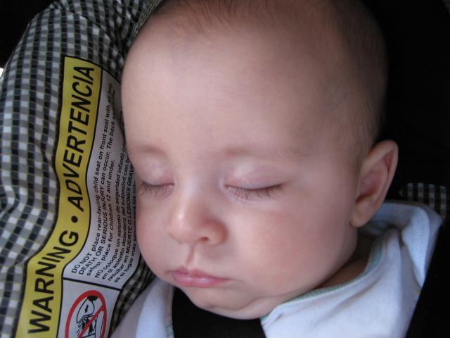Asleep in the car ~ April 8, 2006