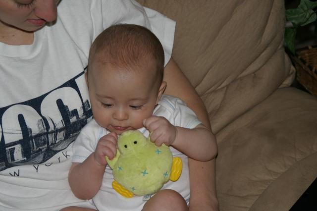 Mmmm, this turtle looks yummy! ~ April 9, 2006