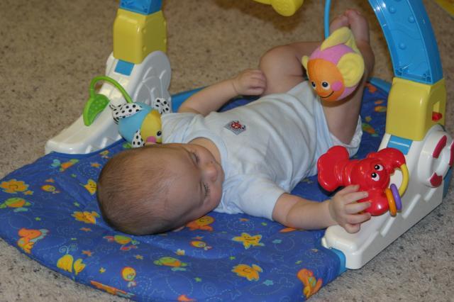 Playing with the lobster ~ April 12, 2006