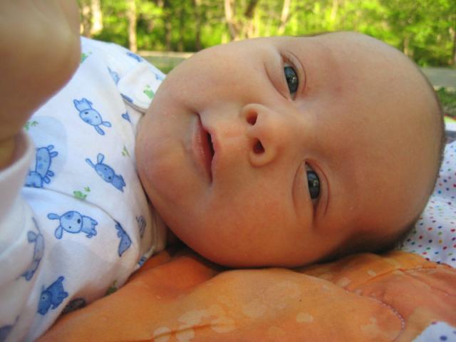 Oliver, up close and personal ~ April 22, 2009