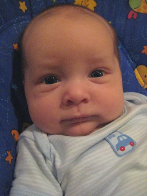 Oliver, not amused ~ April 26, 2009