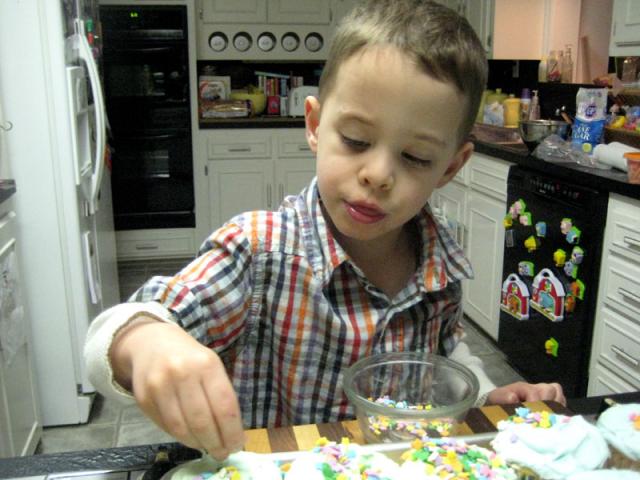 Sprinkles are serious business ~ April 12, 2009