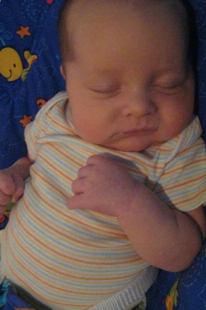 Fell asleep behind his sunglasses ~ April 15, 2009