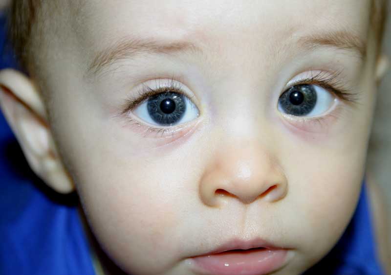 I'm ready for my close up now! ~ August 27, 2006