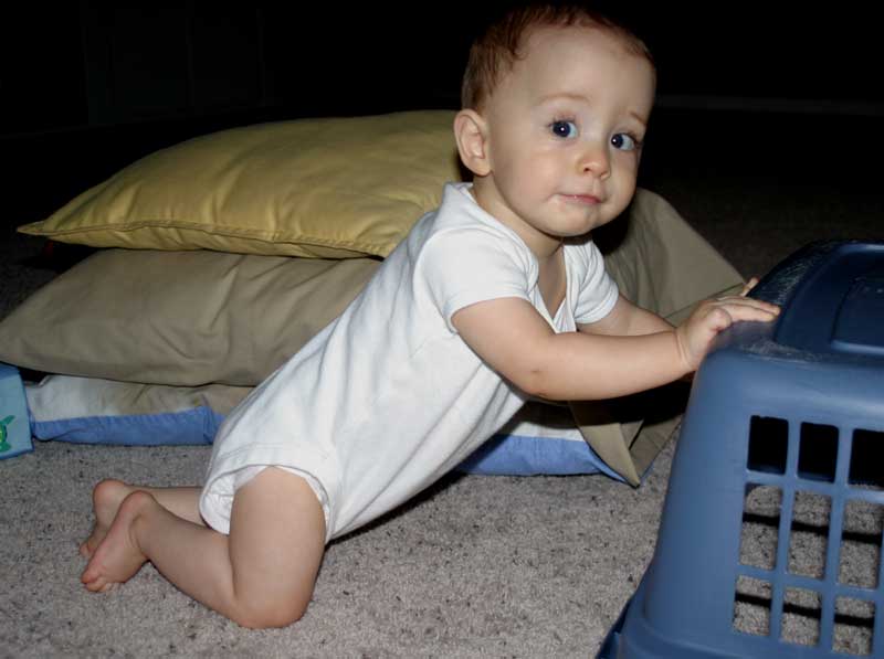 Watch what I can do! ~ September 3, 2006