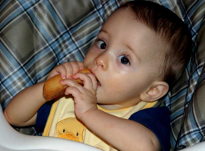 First taste of Zwieback toast ~ September 11, 2006