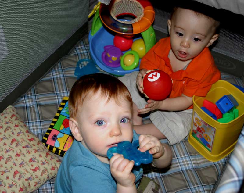 Play nice, boys! ~ September 16, 2006