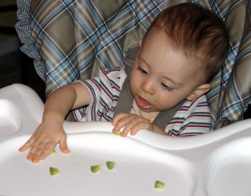 Avocados are yummy! ~ September 18, 2006