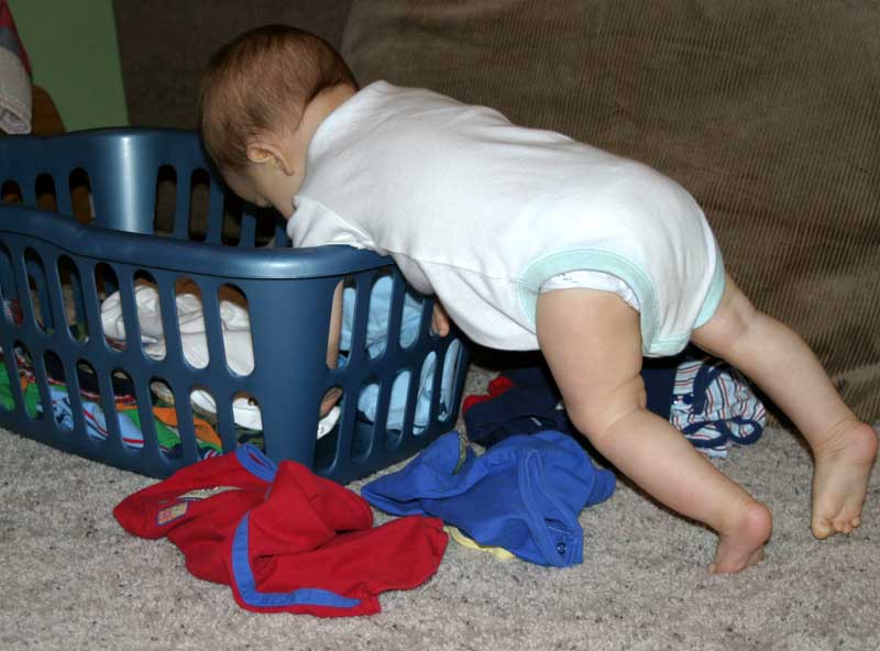 What else is in here? ~ September 19, 2006