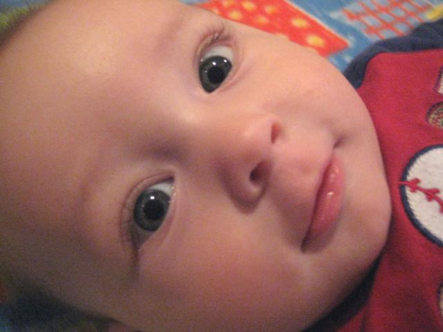 Oliver, close-up! ~ August 18, 2009