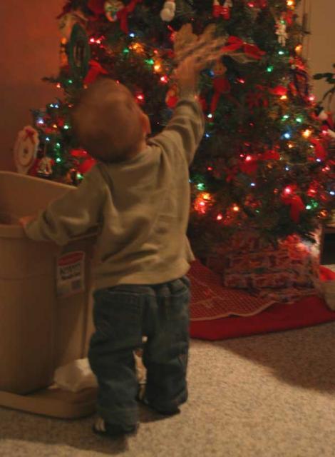 Ooohhhh, so pretty! ~ December 1, 2006