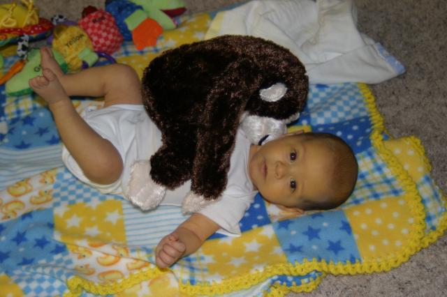 Attack of the monkey! ~ February 16, 2006