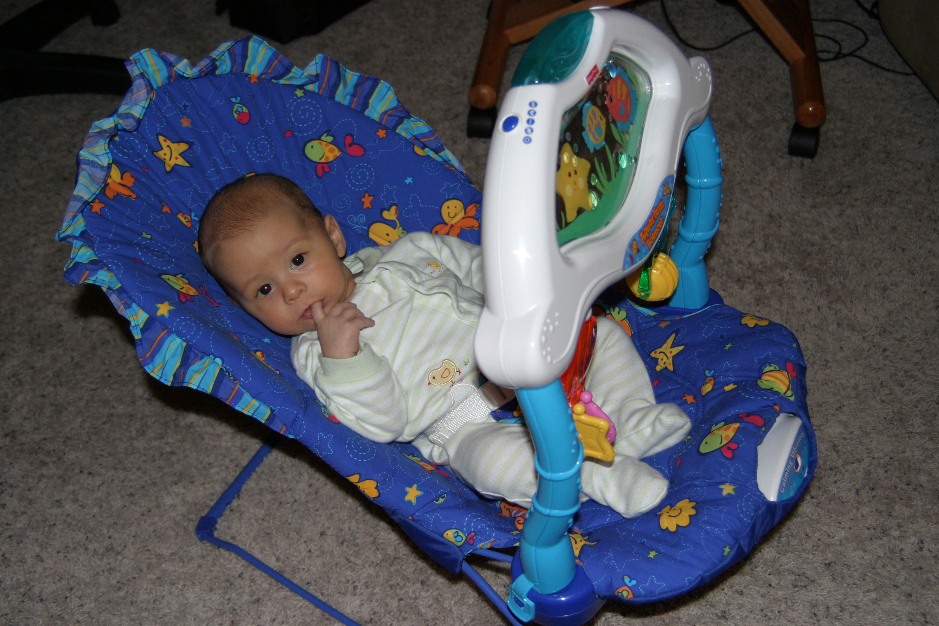 Bouncing with the fish ~ February 27, 2006