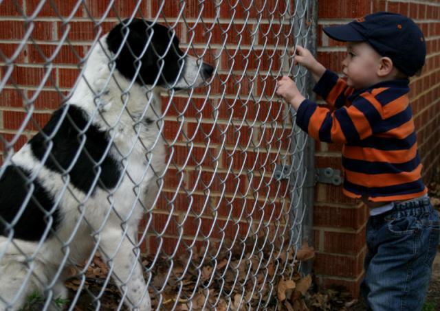 Staredown ~ March 22, 2007