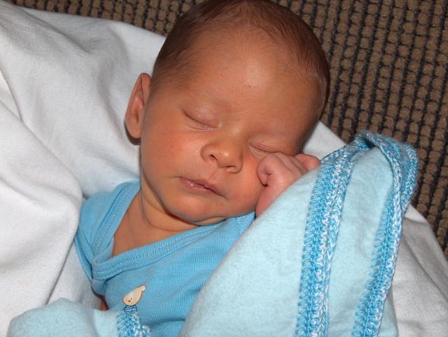 Best of January 2006!