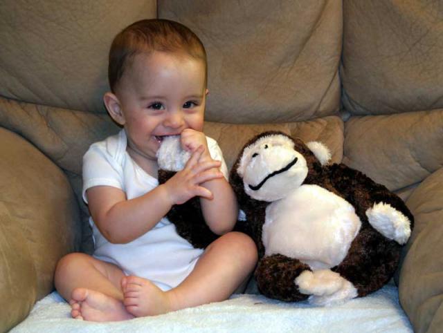 Mmmm, monkey! ~ July 8, 2006