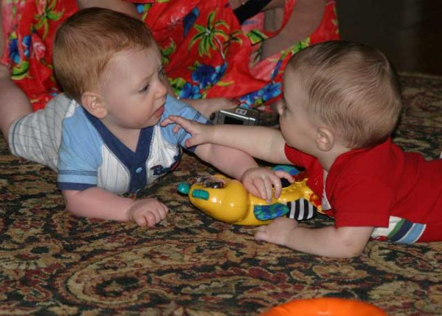 Toren & Tyler sizing each other up ~ July 4, 2006