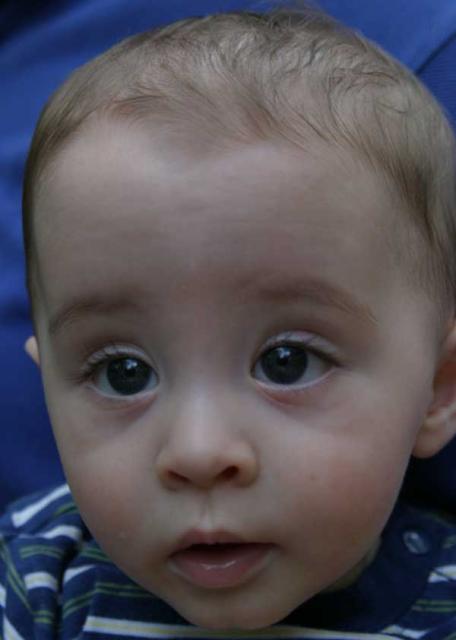 Extreme close up! ~ July 11, 2006